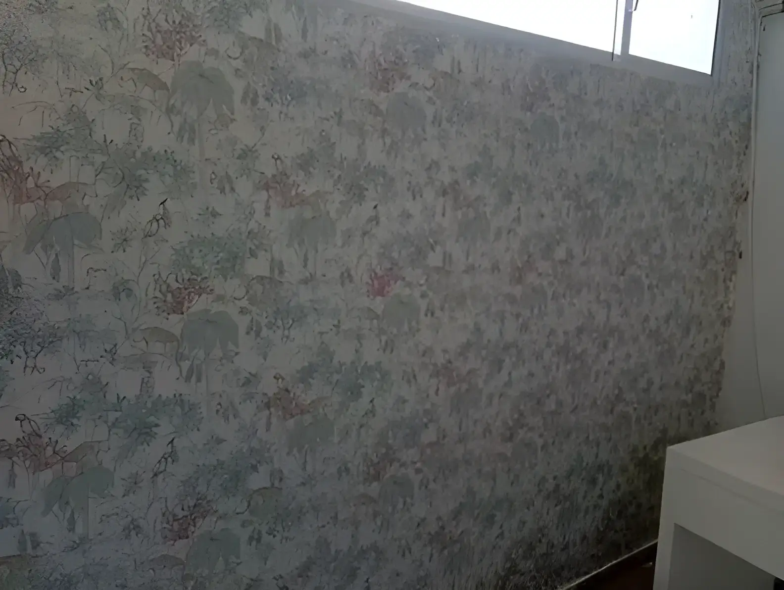 Los Pintores Valladolid colocando papel pintado decorativo en pared completa de habitación